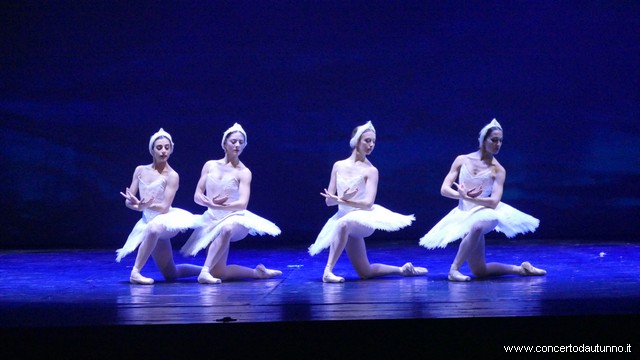 Coccia balletto Daniele Cipriani