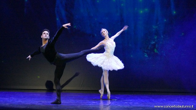 Coccia balletto Daniele Cipriani