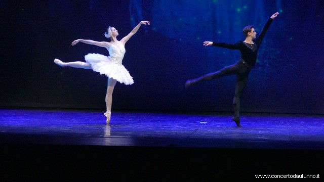 Coccia balletto Daniele Cipriani