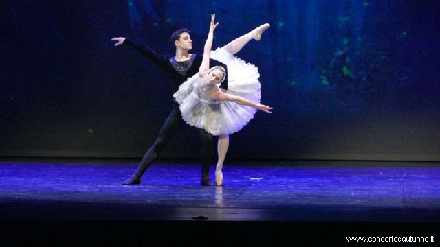 Coccia balletto Daniele Cipriani