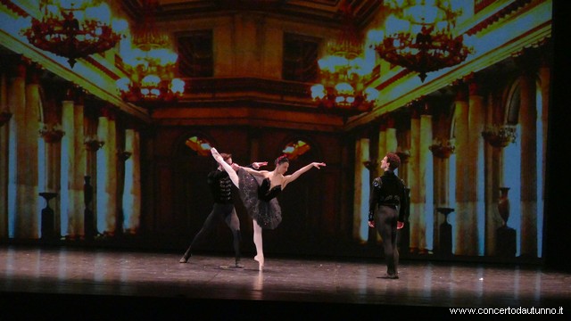 Coccia balletto Daniele Cipriani