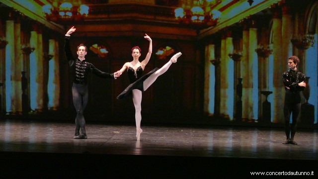 Coccia balletto Daniele Cipriani