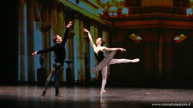 Coccia balletto Daniele Cipriani