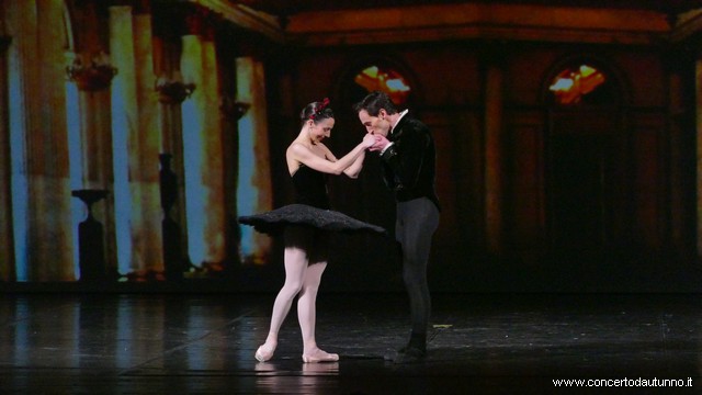 Coccia balletto Daniele Cipriani