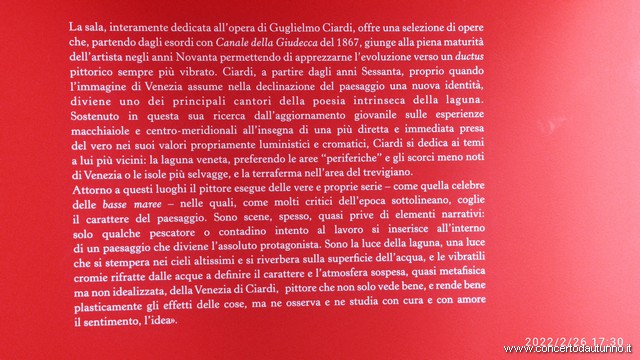Novara Castello Venezia