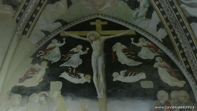 Passio Novara Pedroni Gregoriano