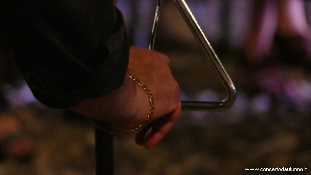 Nerviano Musicumozart
