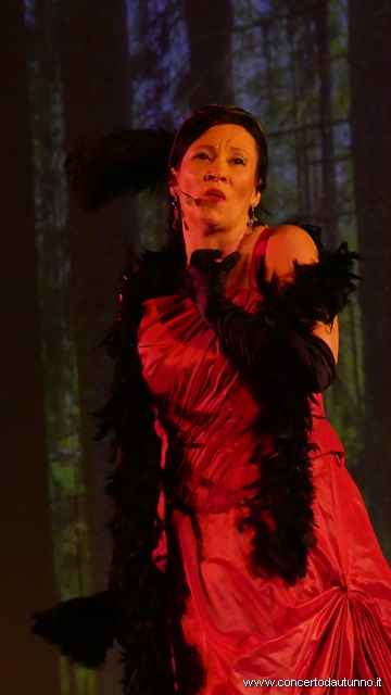 Novara Broletto Operetta