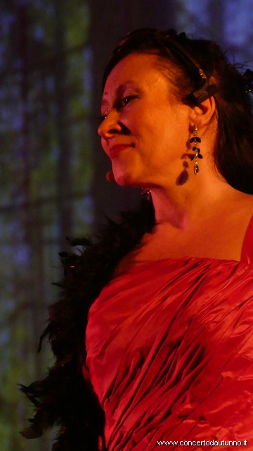 Novara Broletto Operetta