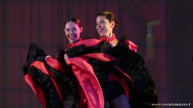 Novara Broletto Operetta