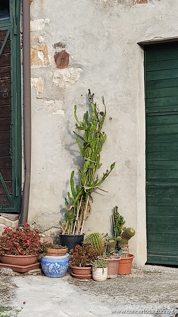 Ultrapadum Golferenzo Olmo Napoleonico