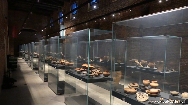 Museo Archeologico Vigevano