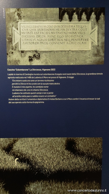Ludovico il Moro Mostra Vigevano