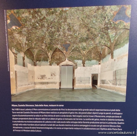 Ludovico il Moro Mostra Vigevano