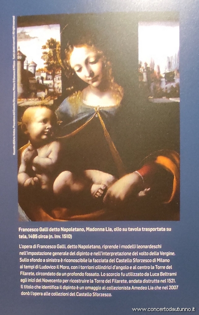 Ludovico il Moro Mostra Vigevano