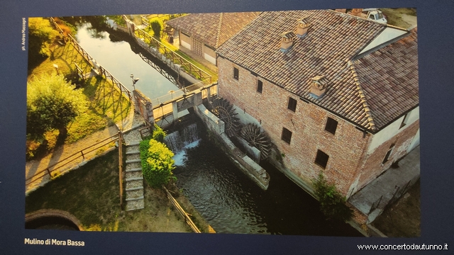Ludovico il Moro Mostra Vigevano