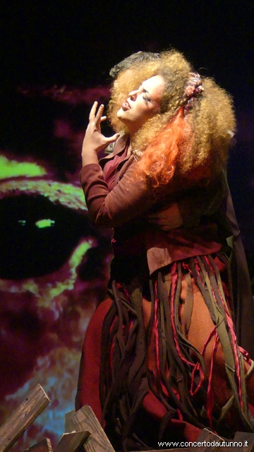 Trovatore Oliva Busto Arsizio