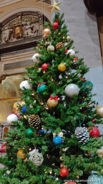 San Dionigi Ghislieri Cohaere