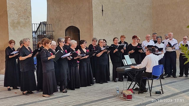 Vigevano palio