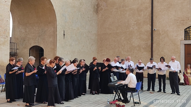 Vigevano palio