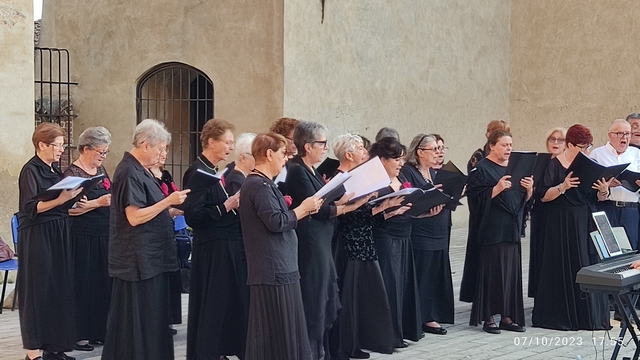 Vigevano palio