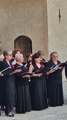 Vigevano palio