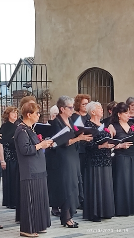 Vigevano palio