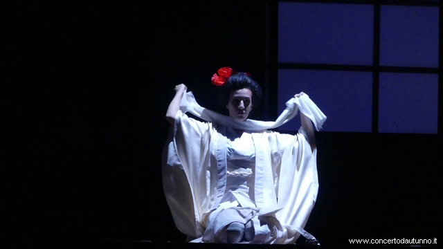 Puccini Coccia Butterfly