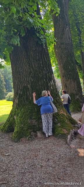 Passeggiata Urbanistica la Sforzesca