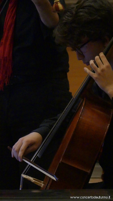 Adriano Fazio Vigevano