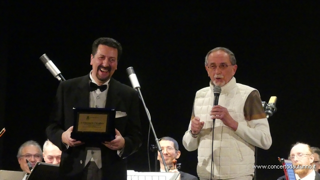 Orchestra Amadeus