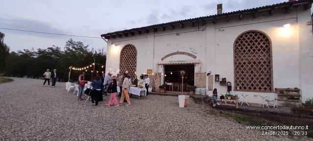 Montalto musica