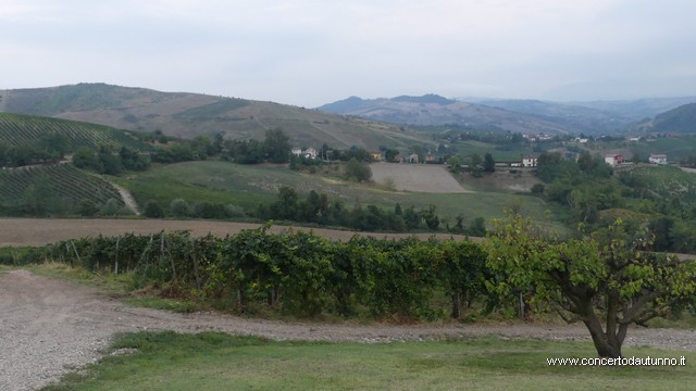 Montalto musica