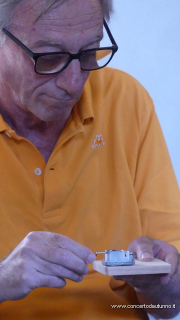 Museo Archeologico Vigevano