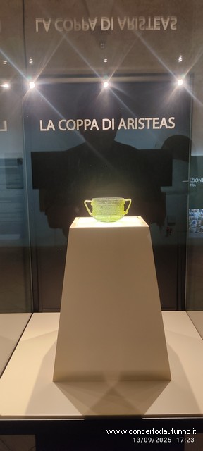 Museo Archeologico Nazionale Vigevano Altrenote