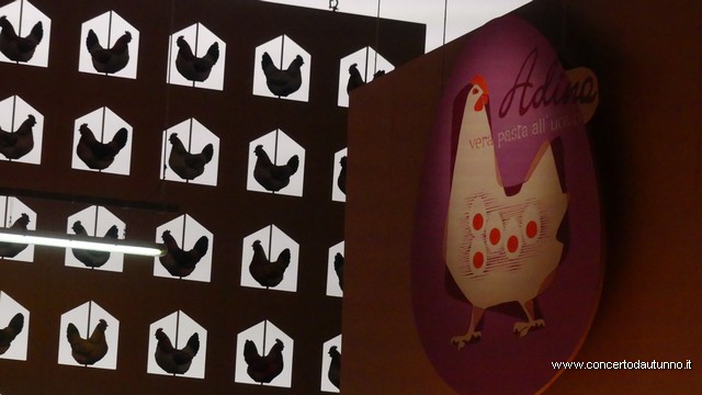 Coccia Elisir damore