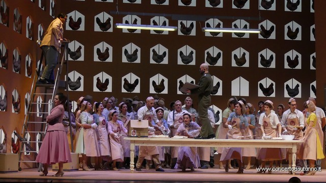 Coccia Elisir damore