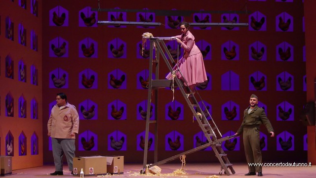 Coccia Elisir damore