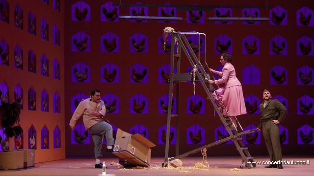 Coccia Elisir damore