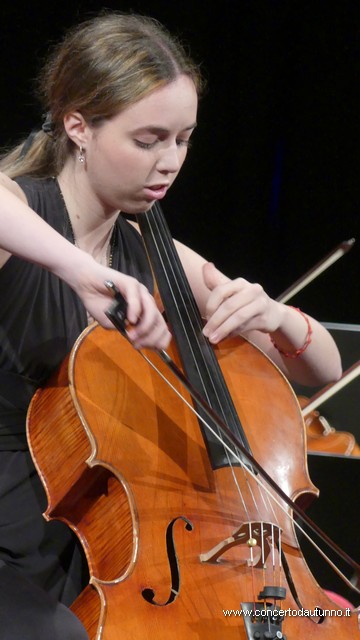 Totem Lorenzo Passerini