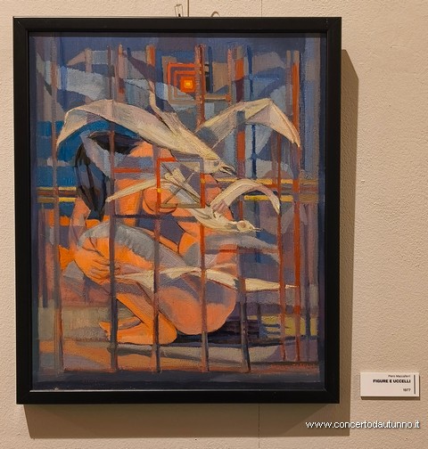 Retrospettiva Maccaferri