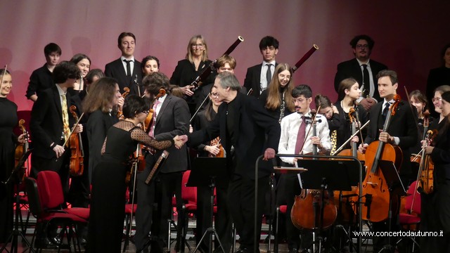 Totem Magenta Concerto Rivolta