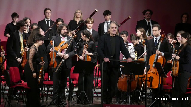 Totem Magenta Concerto Rivolta