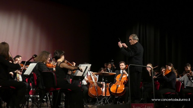 Totem Magenta Concerto Rivolta