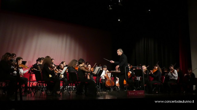 Totem Magenta Concerto Rivolta