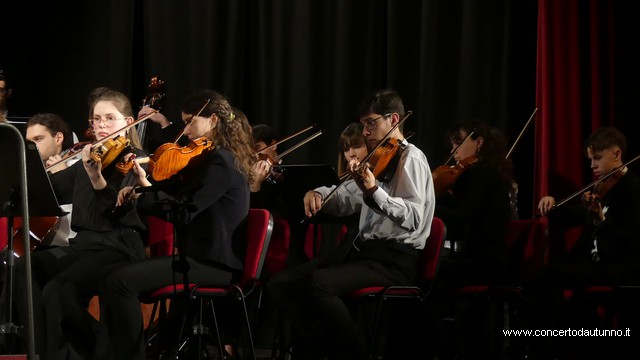 Totem Magenta Concerto Rivolta