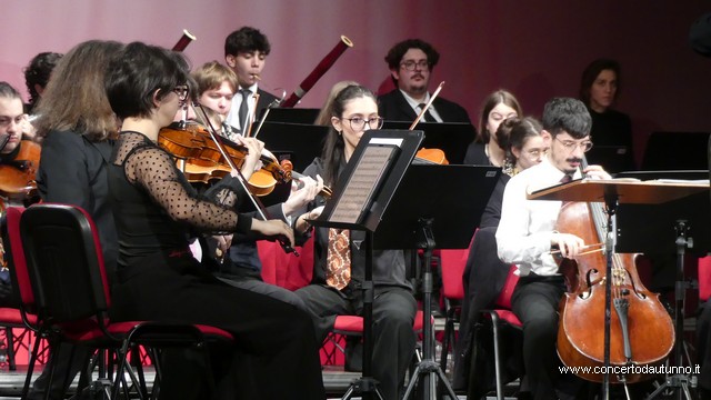 Totem Magenta Concerto Rivolta