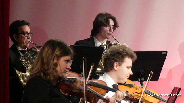 Totem Magenta Concerto Rivolta