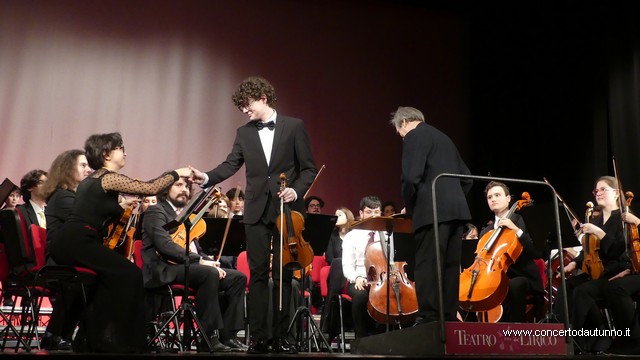 Totem Magenta Concerto Rivolta