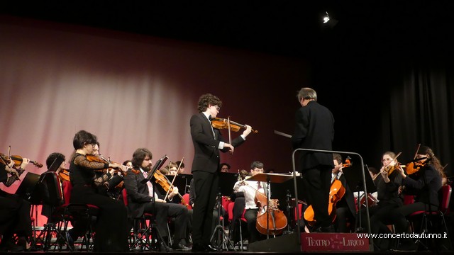 Totem Magenta Concerto Rivolta